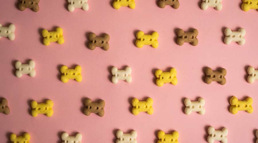Make your own dog cookies